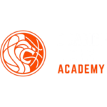 Orange Lions Academy